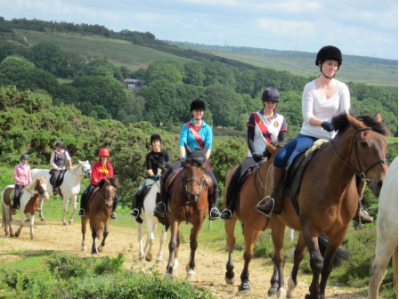 Family Riding in New Forest